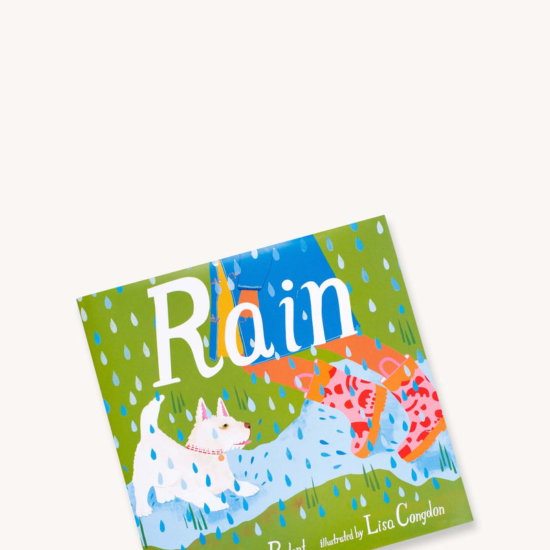 Rain Picture Book Illustrated by Lisa Congdon