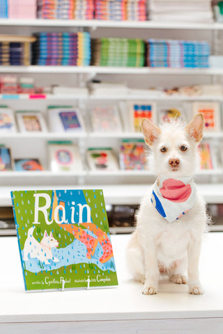 Rain Picture Book Illustrated by Lisa Congdon