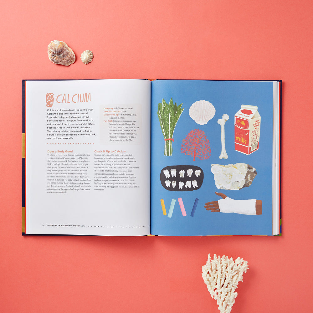 The Illustrated Encyclopedia of the Elements by Lisa Congdon